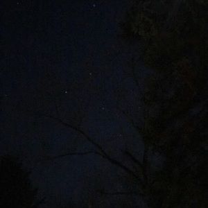 Meet your Posher, Paige